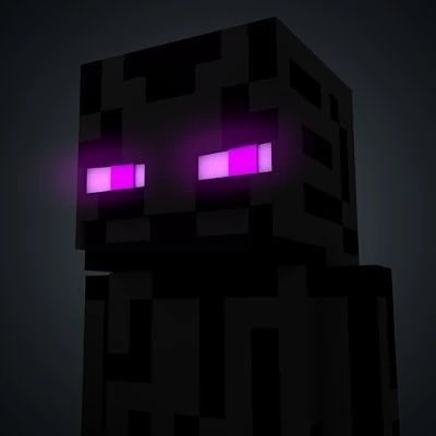 AdelCatU's tweet photo. Enderman pride flags #prideflags #minecraft #enderman https://t.co/G4Yyj2Yegv