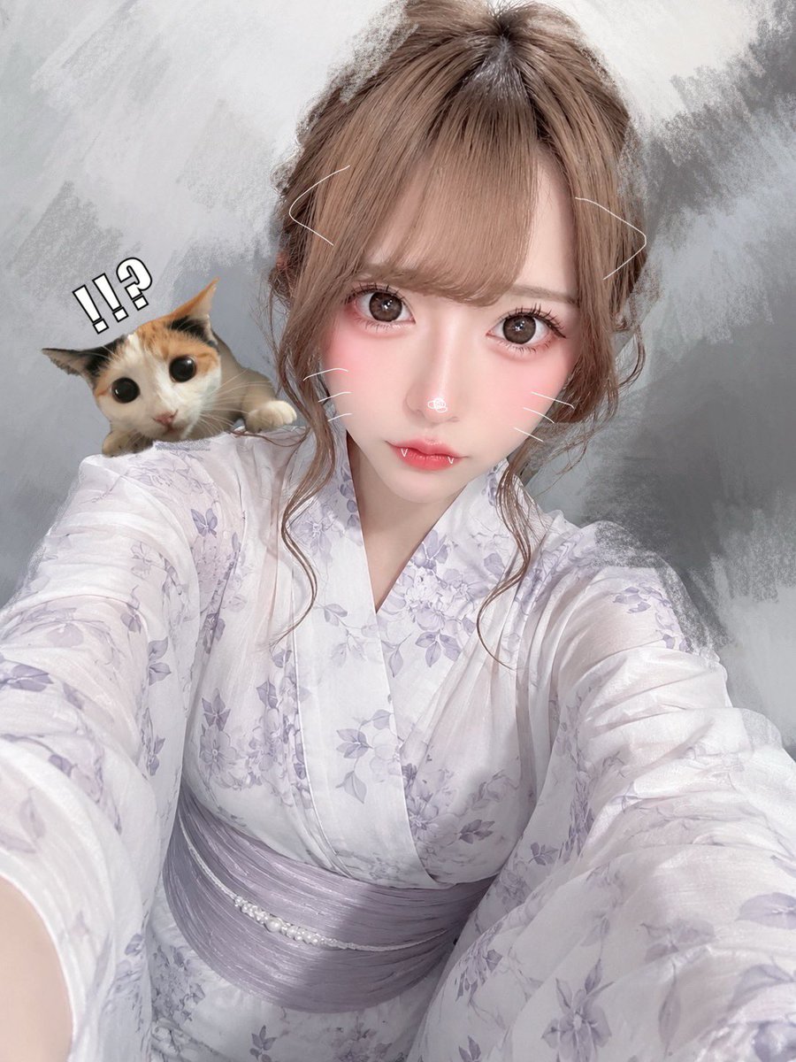 sp0w2's tweet photo. ネコネコすぎてかわいい https://t.co/W7hkjbRcbs