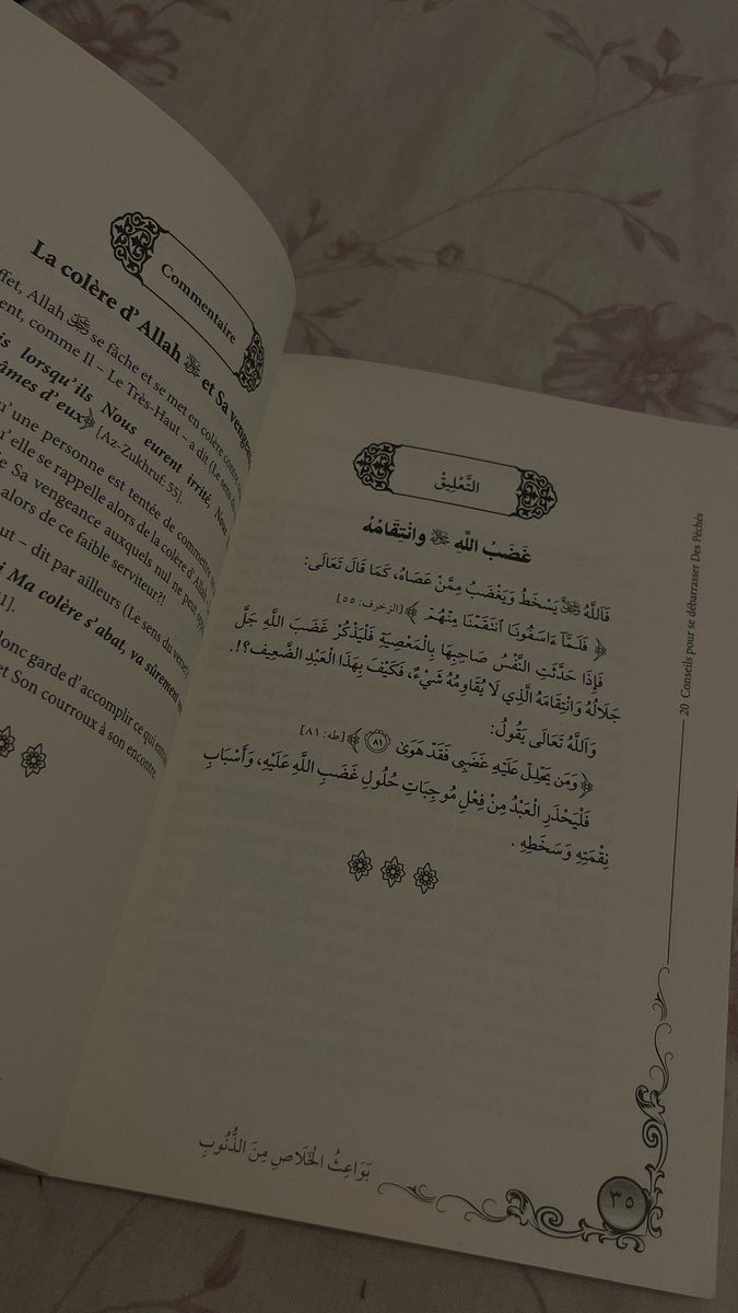 ᥫ᭡ tweet media