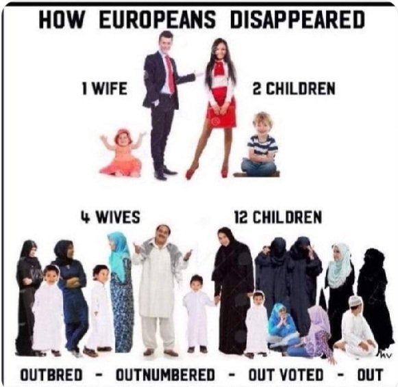 P111Paul44's tweet photo. @BrandonStraka Islam is being found out, and the traitors that brought them here to destroy our indigenous Christian countries will pay the price,
Abolish the European Union + Remigration 
IREXIT https://t.co/gOLdAlmxig