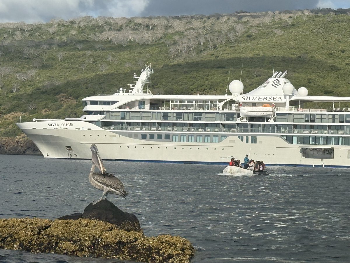 TereRodriguezTV's tweet photo. What a memorable start to our #Galapagos vacation onboard @Silversea #SilverOrigin #guayaquil #ecuador #SanCristobal #archipielago from a private tour of the captain’s bridge to zodiac tours to the islands. More photos to follow. Amazing crew & place unbelievable. https://t.co/7M1Gy35kf5