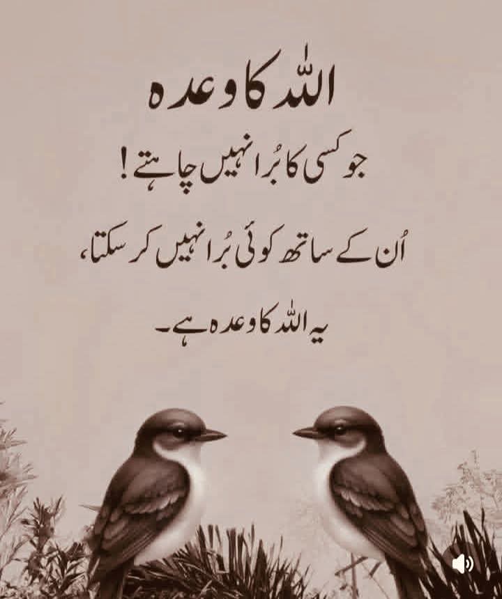 Saad_jadoon786's tweet photo. #Beshak https://t.co/h0Cl4rbK4g