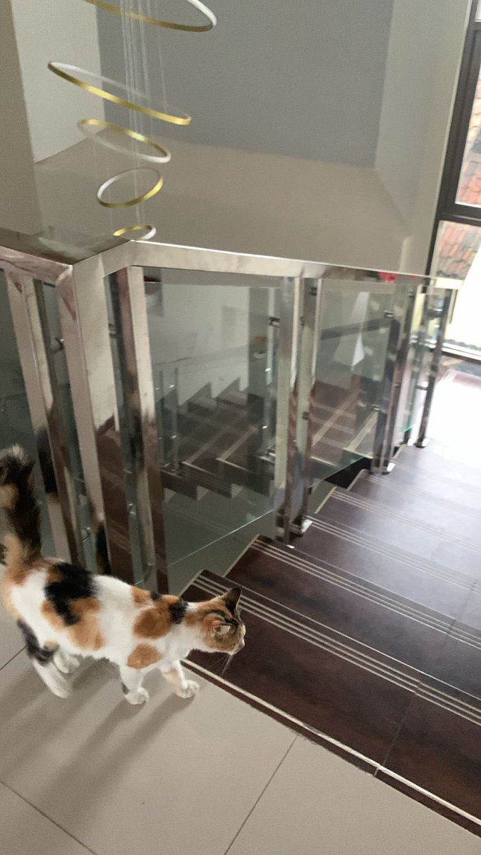 jadihans's tweet photo. halo ini my kosan di kab bandung 600k/sebulan,CAMPUR?!😇😇 mimpi basah anak undip 600 campur diundip ada yg spek kandang😇😇 https://t.co/FLKITqLOvp