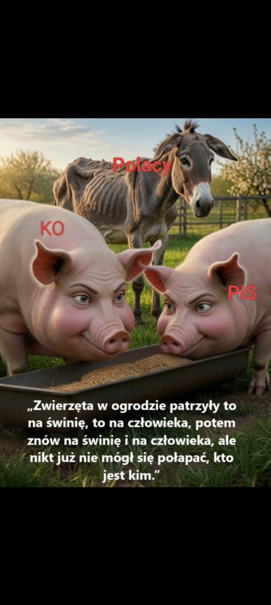 GojZPolin's tweet photo. @pozar_w Takie życie, idioci 🤷‍♂️ https://t.co/IB5k2JnMvU