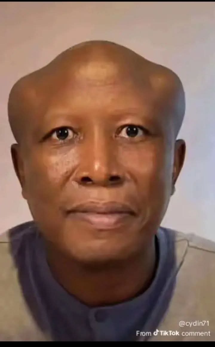MolabaSali9840's tweet photo. @Julius_S_Malema Working legally, lerete https://t.co/GWurdVu3Zg