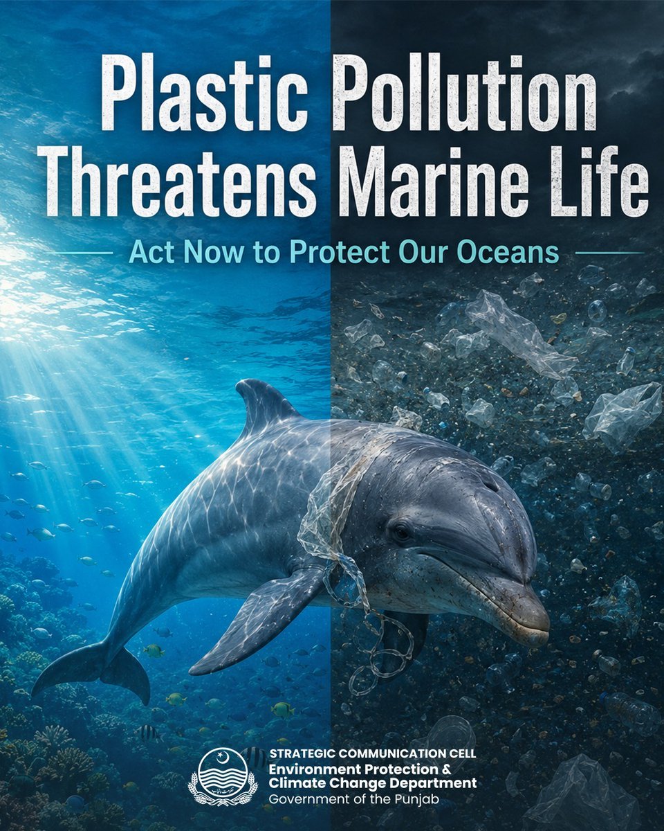 AdvAbdullahSid's tweet photo. Plastic pollution is silently destroying marine life and contaminating our oceans.
Say no to single-use plastic today —
#epapunjab #im4climate #maryamnawaz4climate #smoglesspunjab #smogfreepunjab #saynotoplastic #plasticfreepunjab #Climatewarriors https://t.co/DRDA2VAGrQ