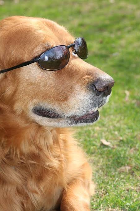 Barkecoin's tweet photo. https://t.co/tMWxrVJaGs