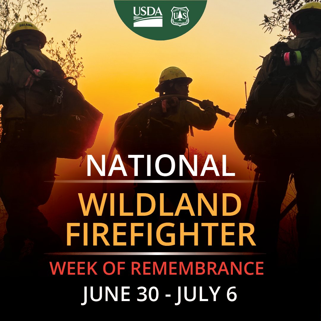 Angeles_NF's tweet photo. This week we hold in our hearts those involved in the recent tragedy in Colorado, and honor all those who have fallen in the line of duty. The Week of Remembrance bridges two of the most devastating tragedies in wildland firefighting history, the firefighter entrapments on the Yarnell Fire on June 30, 2013 and the South Canyon Fire on July 6, 1994.

For more information, visit: https://t.co/Pmk48MPjVG