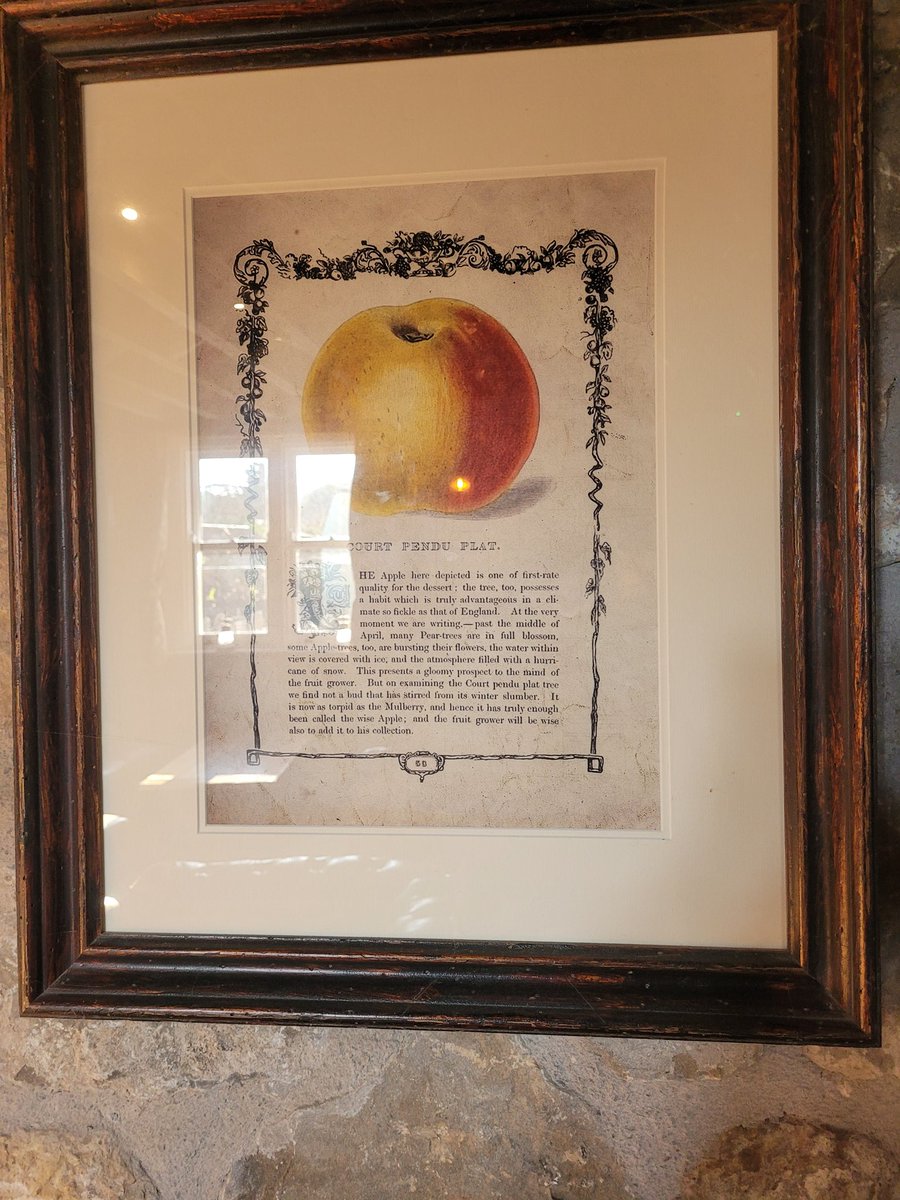 kappil's tweet photo. Cider Bar @thatchers_cider https://t.co/oXNUiMvpw3