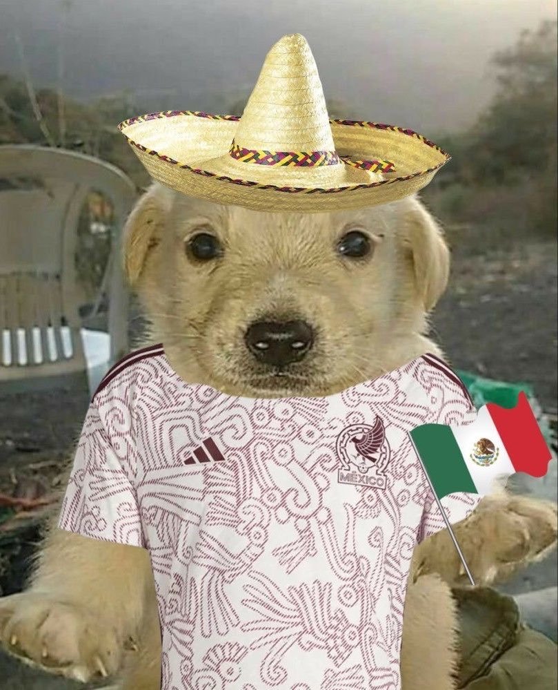 DiegOrtiz_26's tweet photo. Salario digno y miedo son dos cosas que no tiene México.

HOY SE GANA, CABRONES 🇲🇽 https://t.co/CsXNnUx5u6