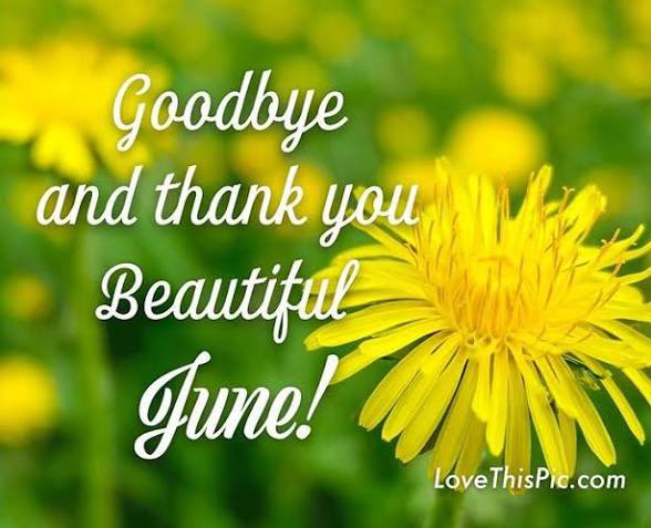 emilyedwards349's tweet photo. It is time to say Goodbye to the month of June.  Rest and relax, with your memories, letting sleep take you to the world of sweet dreams. 
Goodnight.

#WritingCommunity #june30 #goodbyejune #tuesdayevening #goodnight https://t.co/BR06SAMmGN