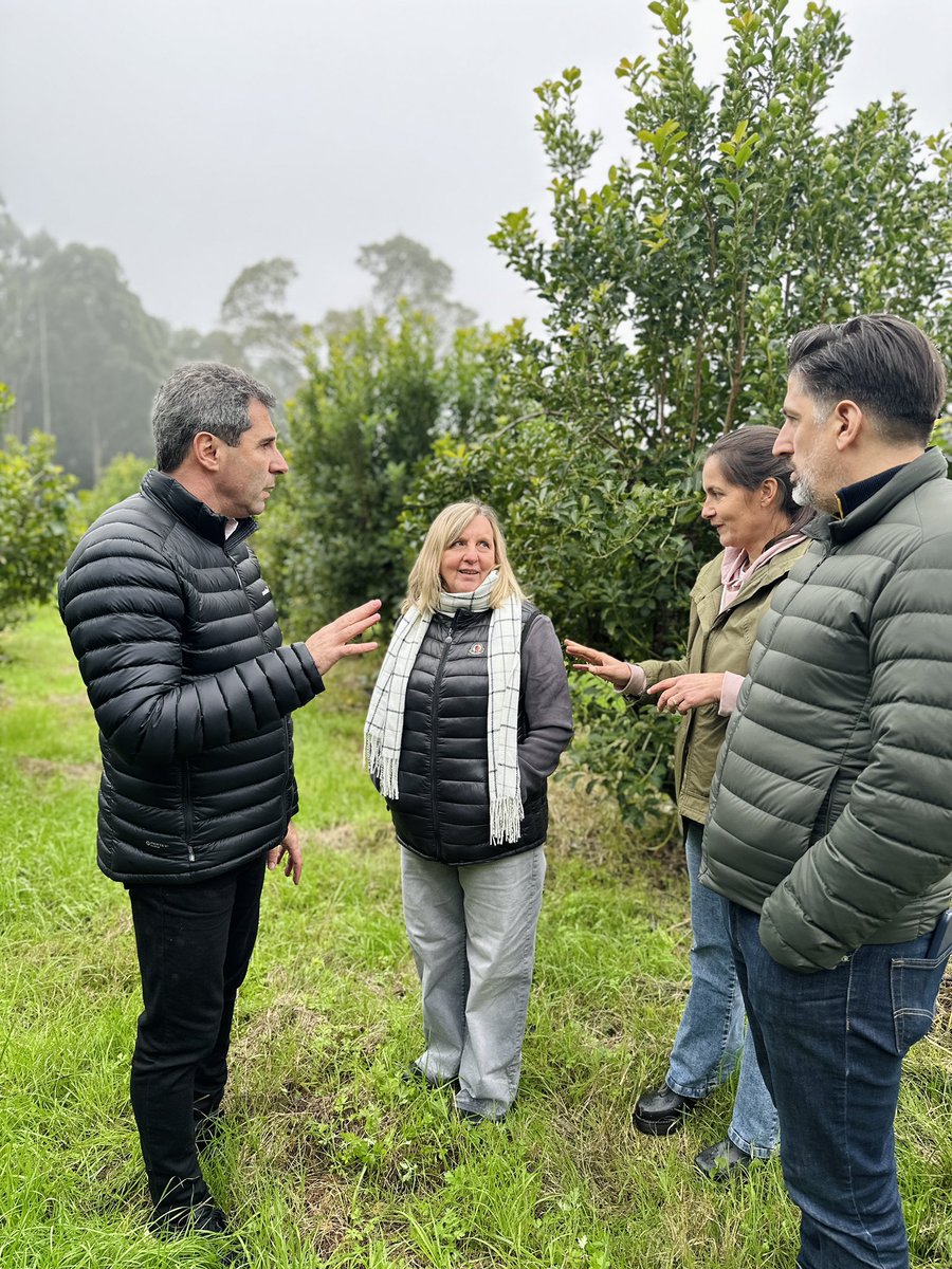 sergiounac's tweet photo. No hay una Argentina fuerte sin un interior fuerte.

Apóstoles expresa el enorme potencial del interior productivo: una ciudad que agrega valor, genera empleo y hace de la yerba mate una verdadera economía regional que sostiene a miles de familias.

⚠️ Pero ese esfuerzo necesita reglas justas de un Instituto Nacional de la Yerba Mate que haga su trabajo. 

Cuando no se garantizan precios competitivos para la hoja verde y la producción pierde rentabilidad, quienes terminan pagando las consecuencias son los productores, los trabajadores y las comunidades del interior.

Gracias intendenta @eugeniasafran por el cálido recibimiento en Apóstoles, y a cada una de las familias yerbateras por este encuentro. Escuchar a quienes producen es el mejor camino para construir un proyecto verdaderamente federal.