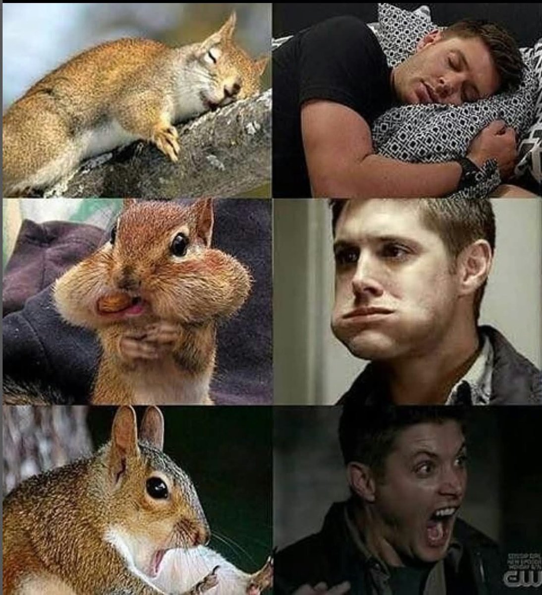 mandy8208's tweet photo. @JensenAckles @JimBeaver15 @cw_spn https://t.co/bkSyZo1E3Z