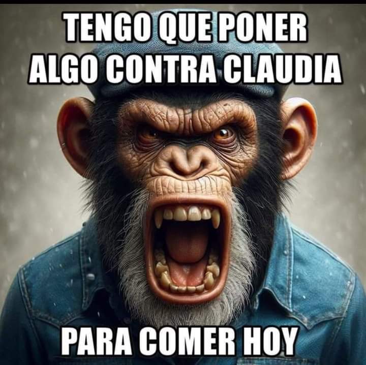 maxquirus's tweet photo. @mario_dico50 https://t.co/bcER4l73LM