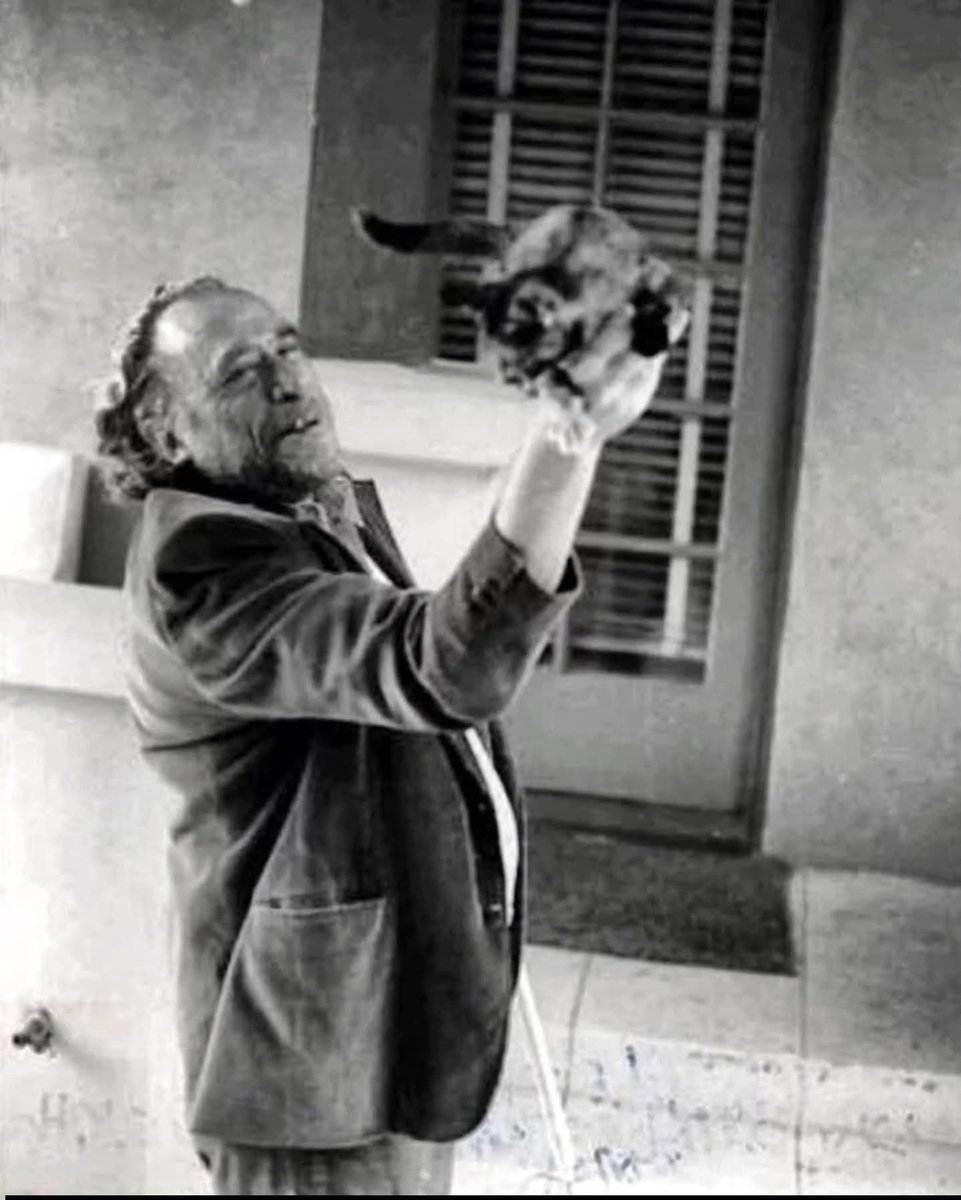 Dr_TheHistories's tweet photo. A poem from Charles Bukowski's "On Cats", published posthumously, 21 years after his passing in 1994.⁣⁣
⁣⁣
My Cats⁣⁣
⁣⁣
I know. I know. ⁣⁣
they are limited, have different ⁣⁣
needs and ⁣⁣
concerns. ⁣⁣
⁣⁣
but I watch and learn from them. ⁣⁣
I like the little they know, ⁣⁣
which is so ⁣⁣
much. ⁣⁣
⁣⁣
they complain but never ⁣⁣
worry, ⁣⁣
they walk with a surprising dignity. ⁣⁣
they sleep with a direct simplicity that ⁣⁣
humans just can't ⁣⁣
understand. ⁣⁣
⁣⁣
their eyes are more ⁣⁣
beautiful than our eyes. ⁣⁣
and they can sleep 20 hours ⁣⁣
a day ⁣⁣
without ⁣⁣
hesitation or ⁣⁣
remorse. ⁣⁣
⁣⁣
when I am feeling ⁣⁣
low ⁣⁣
all I have to do is ⁣⁣
watch my cats ⁣⁣
and my ⁣⁣
courage ⁣⁣
returns. ⁣⁣
⁣⁣
I study these ⁣⁣
creatures. ⁣⁣
⁣⁣
they are my ⁣⁣
teachers.⁣
⁣
#drthehistories