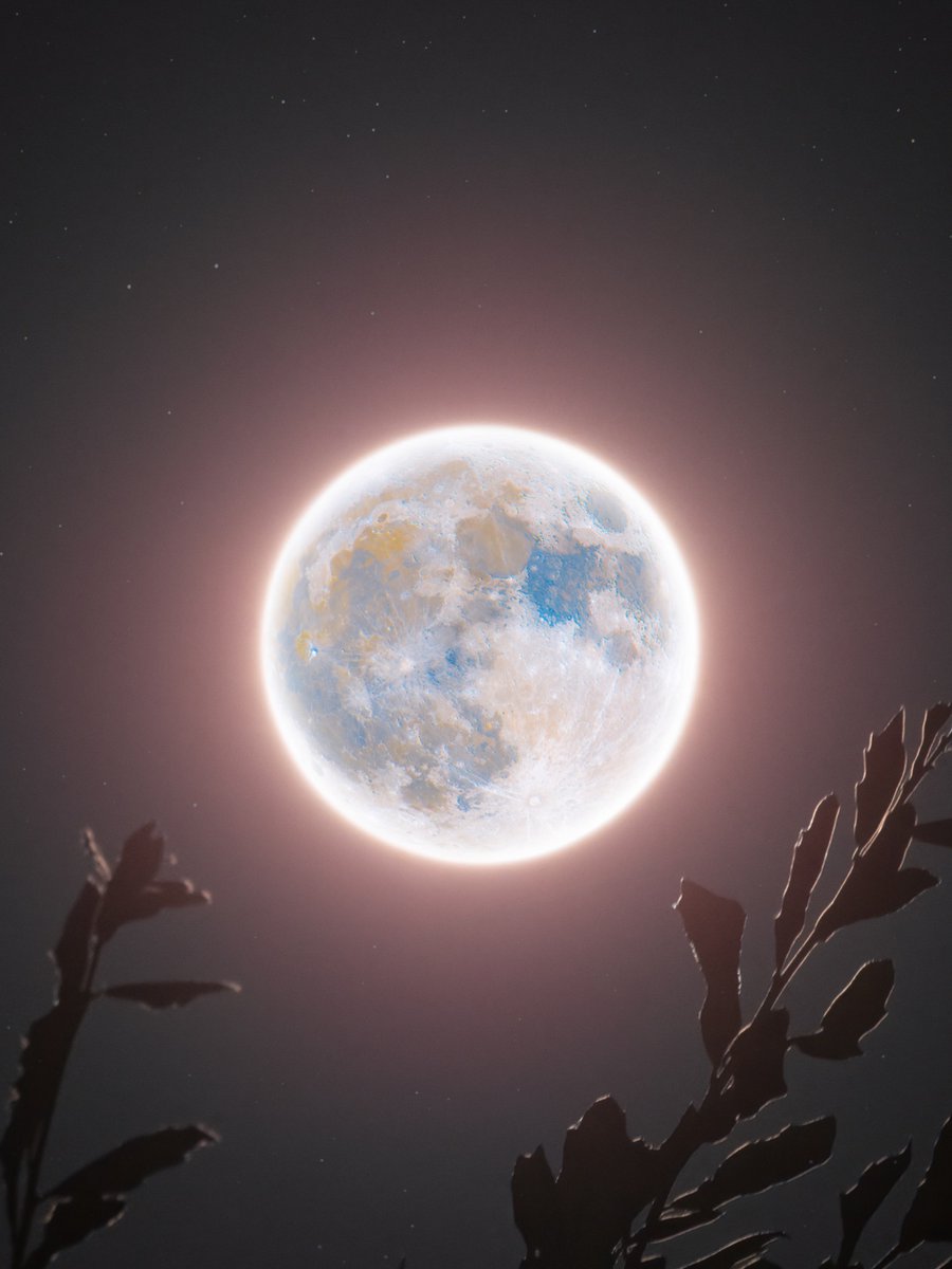 moonloverxjpg's tweet photo. La luna de fresa https://t.co/dhCOtU6WMR