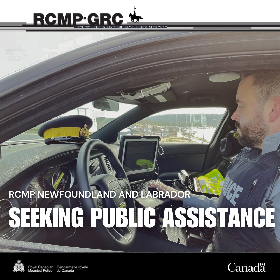 RCMPNL's tweet photo. Gander RCMP investigates break, enter and mischief to building under construction - https://t.co/9A4Y1mRr2a https://t.co/swDE8GECdd