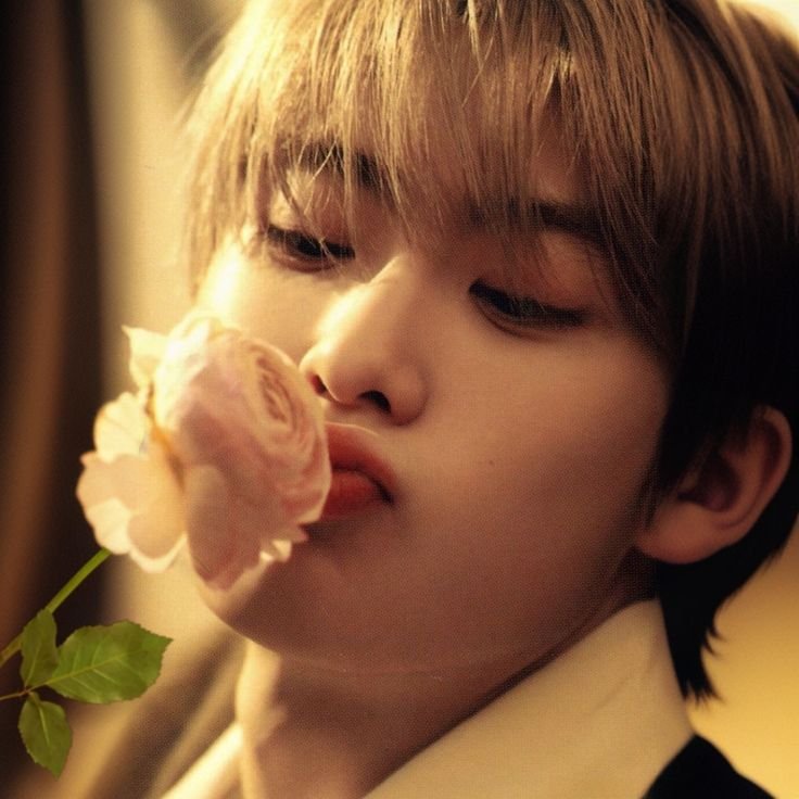 jaehyonm's tweet photo. @haheyong you deserve every flower in the world, so today, i'm giving them all to you. https://t.co/guxNBKonR0