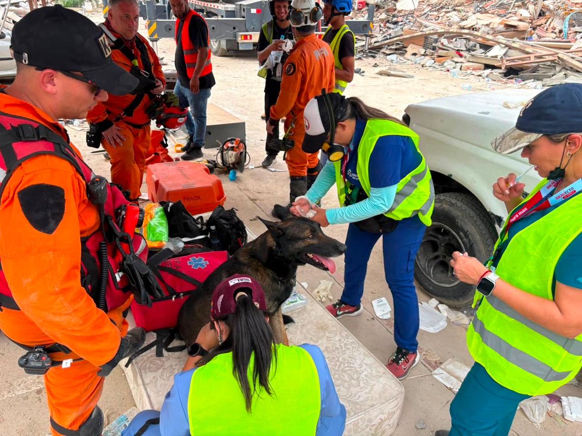Agencia Federal de Emergencias tweet media