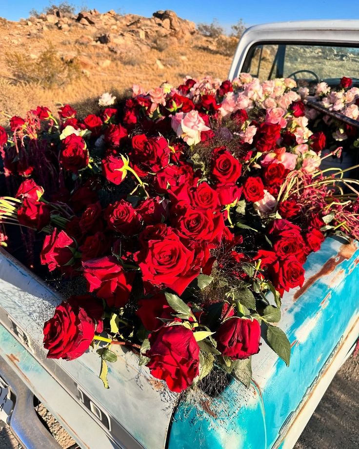 jaehyonm's tweet photo. @haheyong i wish i could hand you every flower in the world today, because that's exactly what you deserve💗 https://t.co/JNaIrMdv1Z