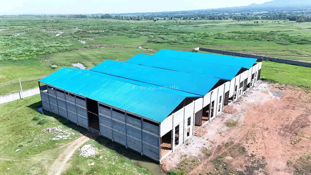 comradewarvist_'s tweet photo. Delivered through a strong Intergovernmental Partnership between the National and County Government of Homa Bay, the project is positioning the region as a key player in agro-industrial growth. #PsRaymondOmollo https://t.co/feXb7ZnRaa