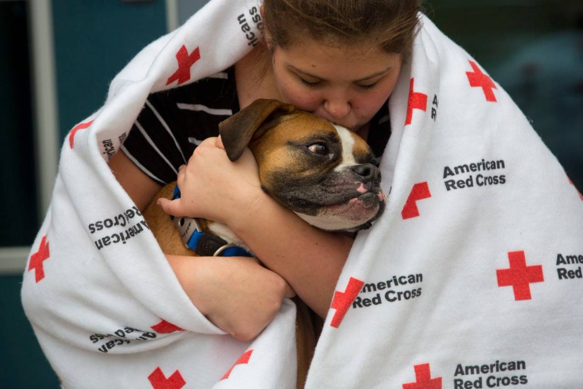 COWYRedCross's tweet photo. Evacuating with pets? All Red Cross shelters accept pets.
🐕 Pueblo: Pikes Peak Humane Society is helping on-site (https://t.co/5Kmyc4aKip).
🦜 Birds: Avian sheltering at Gabriel Foundation  (https://t.co/7PV5SfM0j4).
🐴 Livestock: Go to CO State Fairgrounds. #COwx #COFire https://t.co/Y0ZiSUcFEi