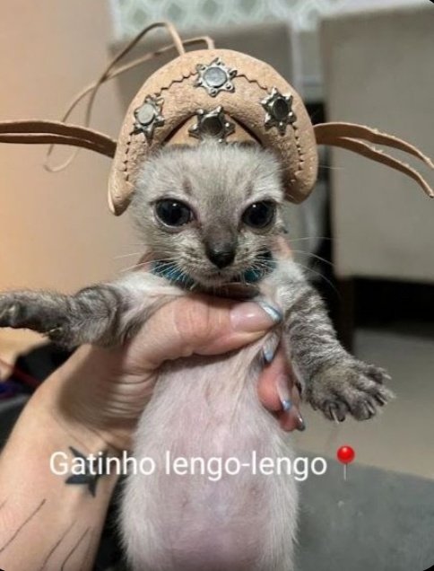 Shadeggue's tweet photo. @jotaueliiaa @rianfodinha @burnthedu O filho de vcs https://t.co/QUPIgnMyAS