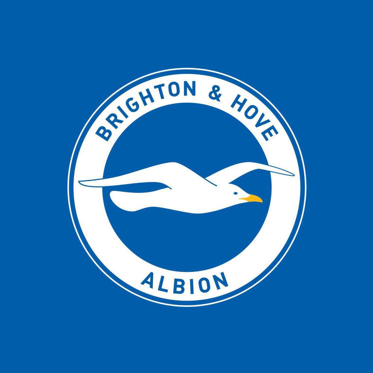 eurofootcom's tweet photo. 🚨🔵 𝐎𝐅𝐅𝐈𝐂𝐈𝐀𝐋 | Brighton sign Pascal Struijk (26) from Leeds United! £20m fee. 🇳🇱✅

Hurzeler: "He really showcased what he’s capable of last season - great defensive actions while comfortable on the ball - with his style well suited to ours. He is also a leader." ✨ https://t.co/3M2UuLLLPg