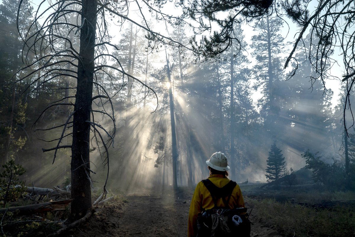 USDA Forest Service tweet media