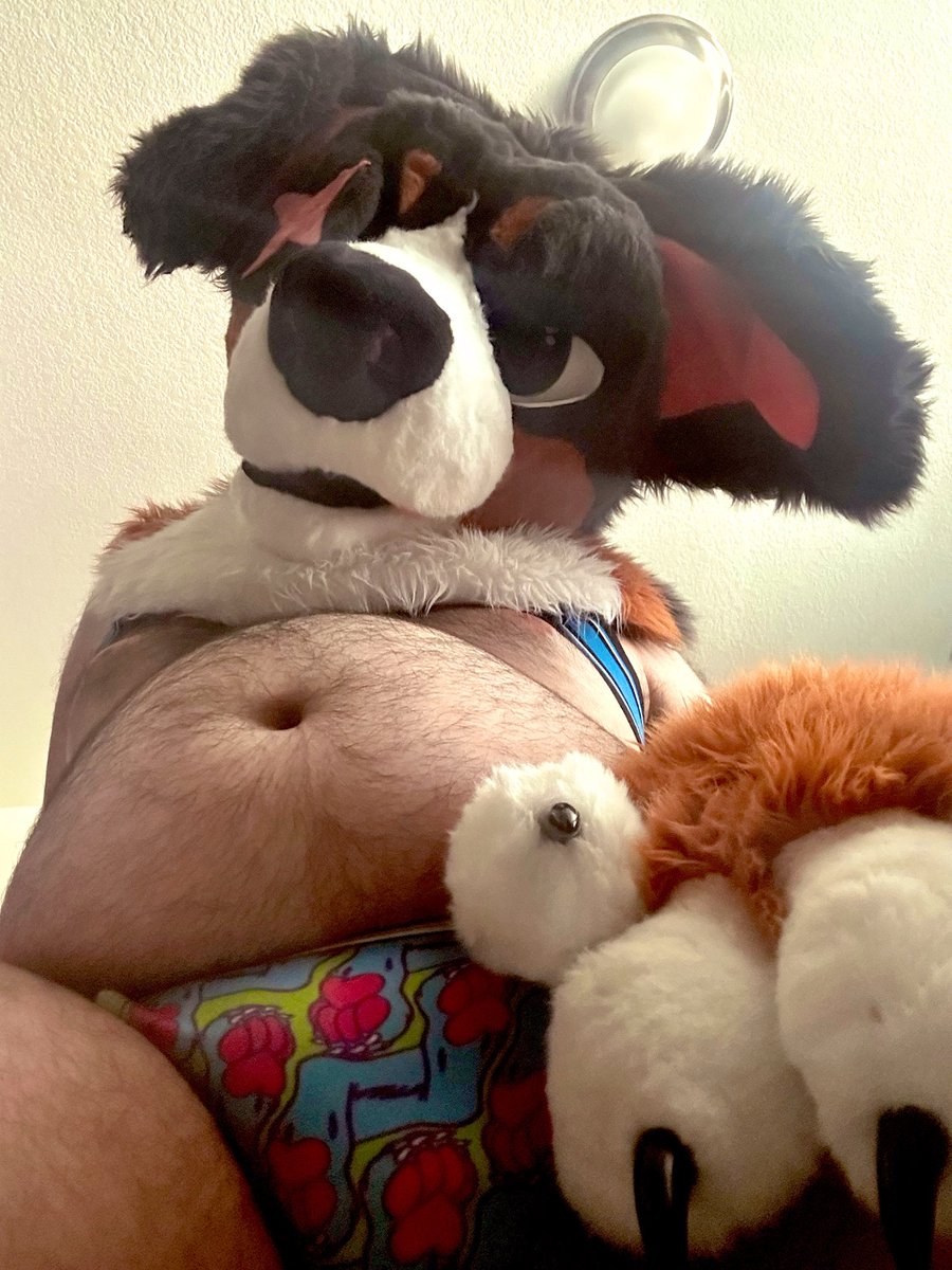 SCARSNBARKS's tweet photo. last day of pride be as gay as possible:3

also happy #tummytuesday i suppose yada yada 💜🦮 https://t.co/h0lpv83NDu