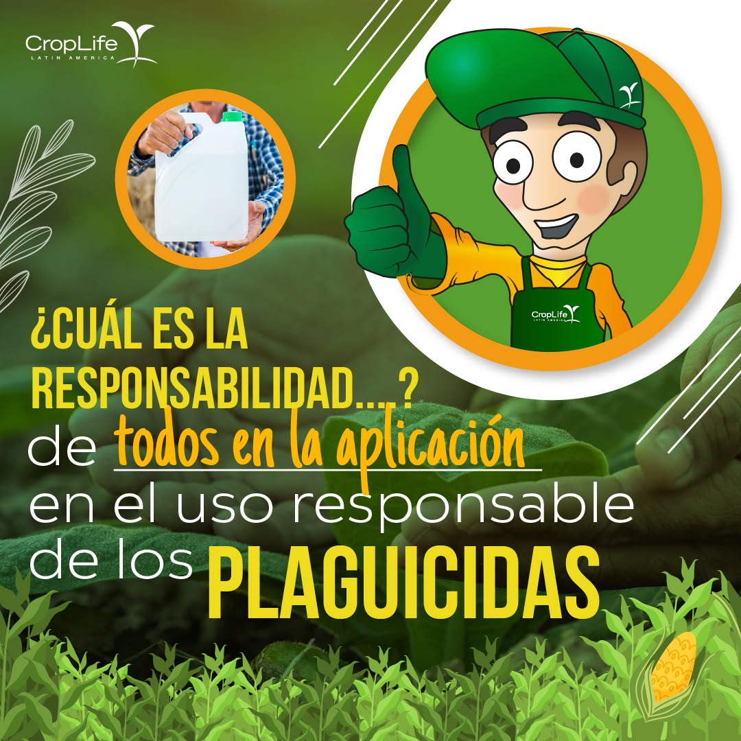 CropLife_La's tweet photo. #CustodioDice: Lo importante de cultivar bajo un Manejo Integrado de Plagas (MIP) impulsa una agricultura más productiva y responsable. Menos riesgos, más sostenibilidad, mejores cosechas. Conoce más en: https://t.co/fI40TomFjm https://t.co/uP6KqEtrVA