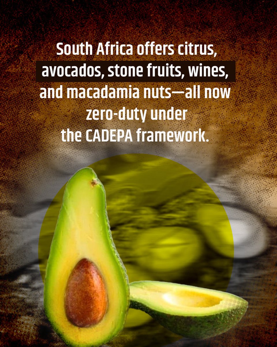 Themba373's tweet photo. South Africa offers citrus, avocados, stone fruits, wines, and macadamia nuts—all now zero-duty under the CADEPA framework.
 #Agribusiness #ZeroDuty #SouthAfrica https://t.co/2tzVBWV8iA