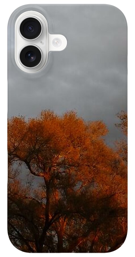 Angel617Liz's tweet photo. iPhone and Galaxy, slim, impact resistant, cell phone cases. Bring your art with you, many images to choose from. 
https://t.co/5nNNDNOpzV
#CellPhoneCases #iPhoneCases #GalaxyCases #NaturePhotography #ArtGifts https://t.co/qaJSYvUdg1
