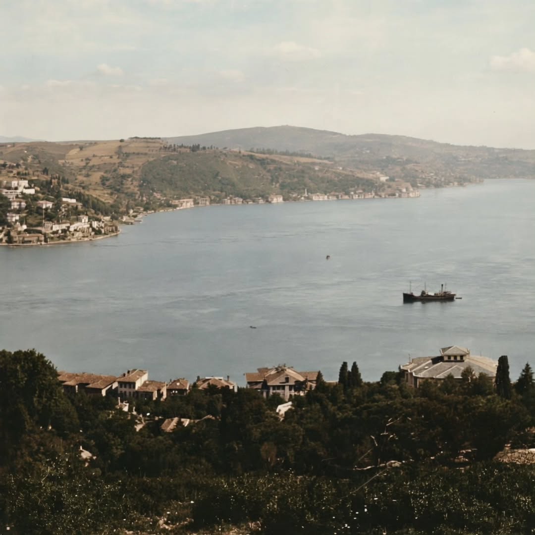 tarihiiimerak's tweet photo. 120 yıl önce Boğaziçi'nden İstanbul'a bakış: https://t.co/ioTAAPUPDL