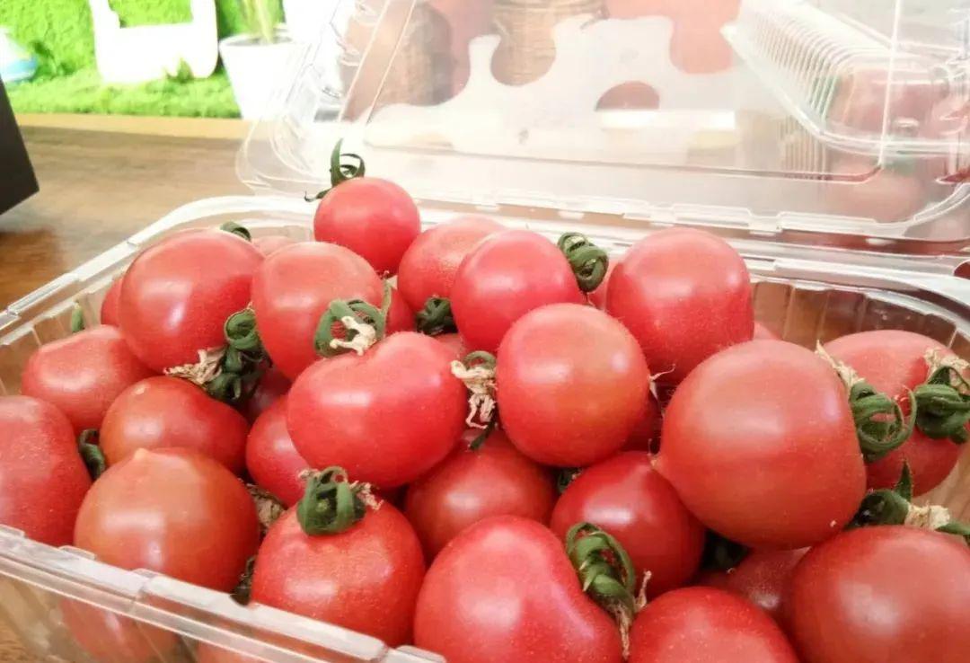 lavender_abbott's tweet photo. Just tried the newly launched cherry tomatoes from local farm—burst with natural sweetness, zero weird aftertaste, perfect for salad or snack! 10/10 recommend!， https://t.co/4eJekGcz5M