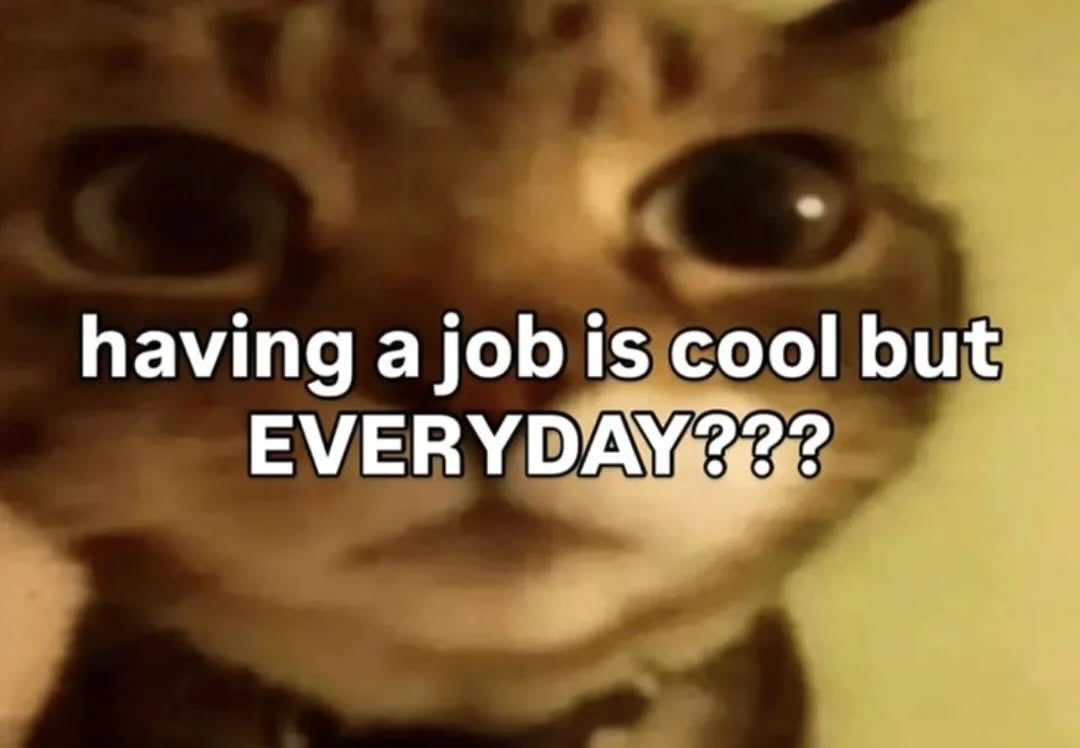 catsbeiingcats's tweet photo. https://t.co/8WSqJHuhtC