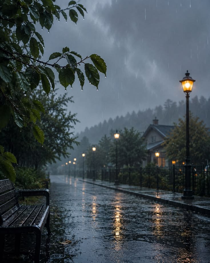 PureNature30407's tweet photo. this neighborhood looks even better during the rain https://t.co/eSKGBtVRPZ