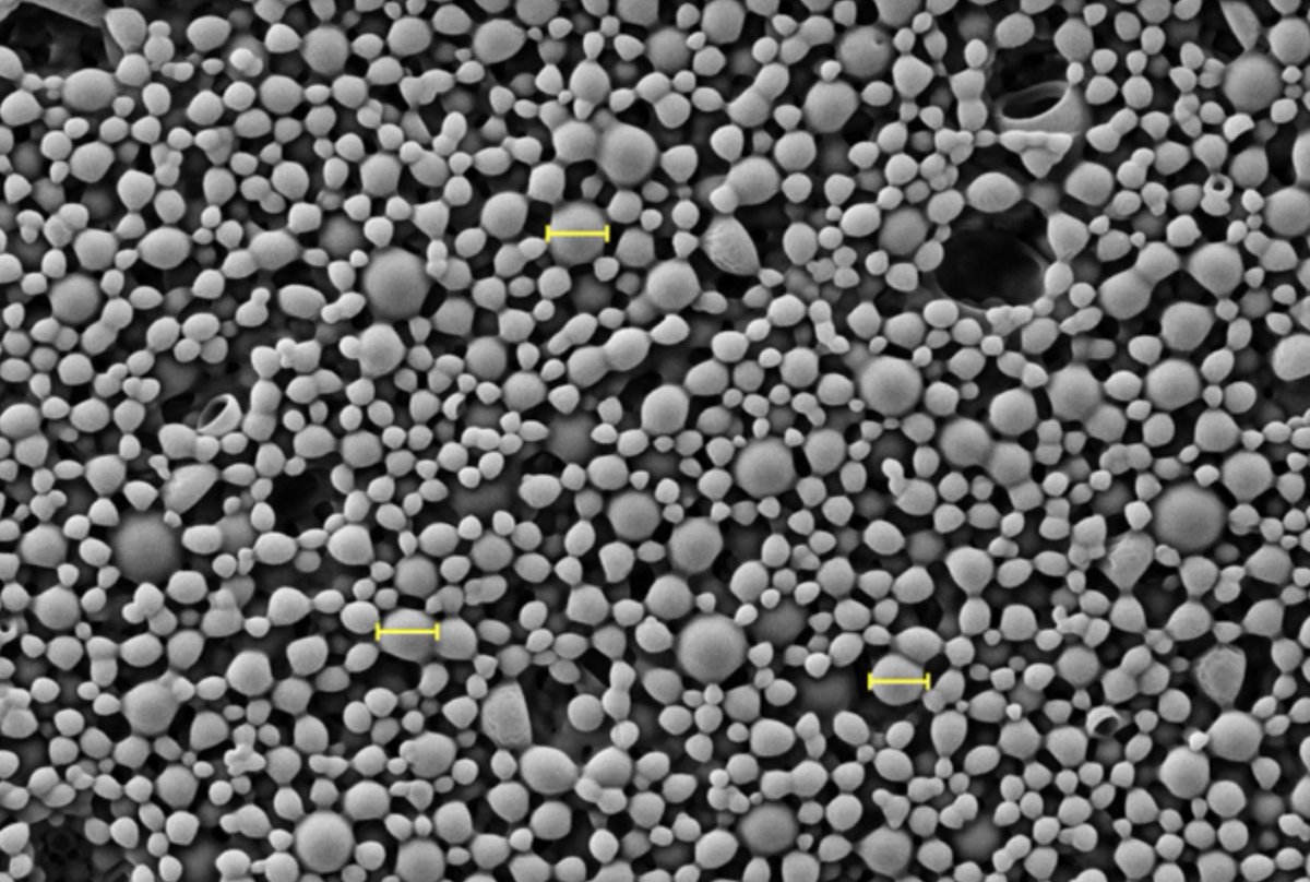UMBME's tweet photo. U-M BME research suggests that nanoparticles delivered through the bloodstream can influence circulating immune cells, encouraging them to enter the lung and adopt behaviors associated with resolving fibrosis rather than intensifying it. Read more: https://t.co/e6G9CCf69b https://t.co/o4rdZqfYdD