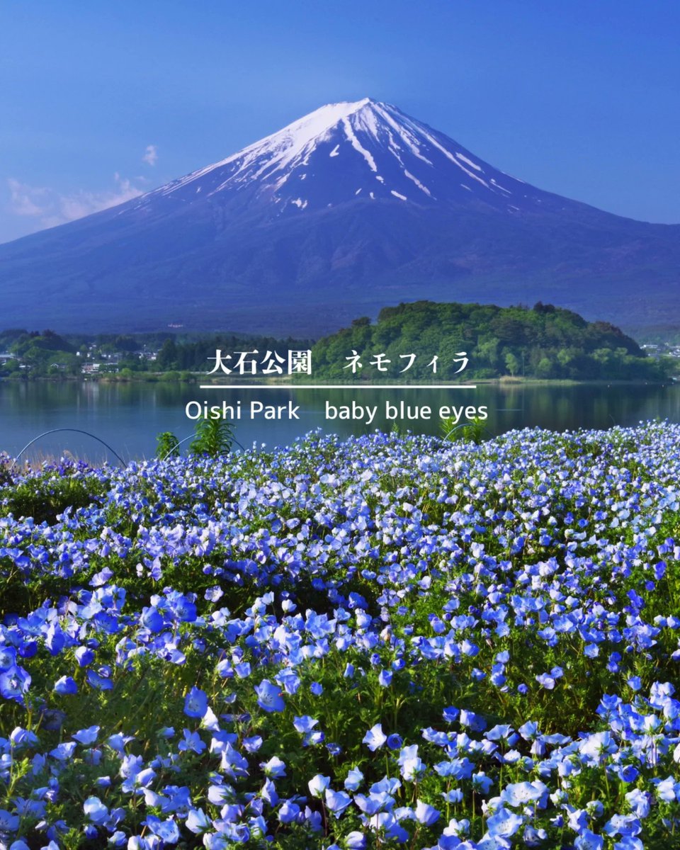 crafar01's tweet photo. 富士山・河口湖山開き花火大会
日程:7/4(土)　20:00〜打ち上げ約20分間
会場にはキッチンカーがあります！！
会場:河口湖大池公園

同日に八木崎公園で円縁まつりも開催します✨

#花火大会
#富士山
#山開き
#mtfuji 
#firework https://t.co/thTSyCMqi4