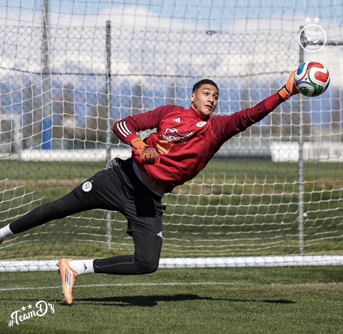 algeriactufoot_'s tweet photo. 🔴 𝗟𝗲 𝗴𝗮𝗿𝗱𝗶𝗲𝗻 𝗾𝘂’𝗶𝗹 𝗳𝗮𝘂𝗱𝗿𝗮 𝗮𝗯𝘀𝗼𝗹𝘂𝗺𝗲𝗻𝘁 𝗽𝗿𝗲𝗻𝗱𝗿𝗲 𝗲𝗻 𝘁𝗮𝗻𝘁 𝗾𝘂𝗲 𝟮𝗲𝗺𝗲 𝗴𝗮𝗿𝗱𝗶𝗲𝗻 𝗮𝗽𝗿𝗲̀𝘀 𝗹𝗮 𝗖𝗗𝗠 : 𝗞𝗜𝗟𝗜𝗔𝗡 𝗕𝗘𝗟𝗔𝗭𝗭𝗢𝗨𝗚 🧤🇩🇿

19 ans, 1m98, joue à Rennes 💎 https://t.co/BPa8G69E6l