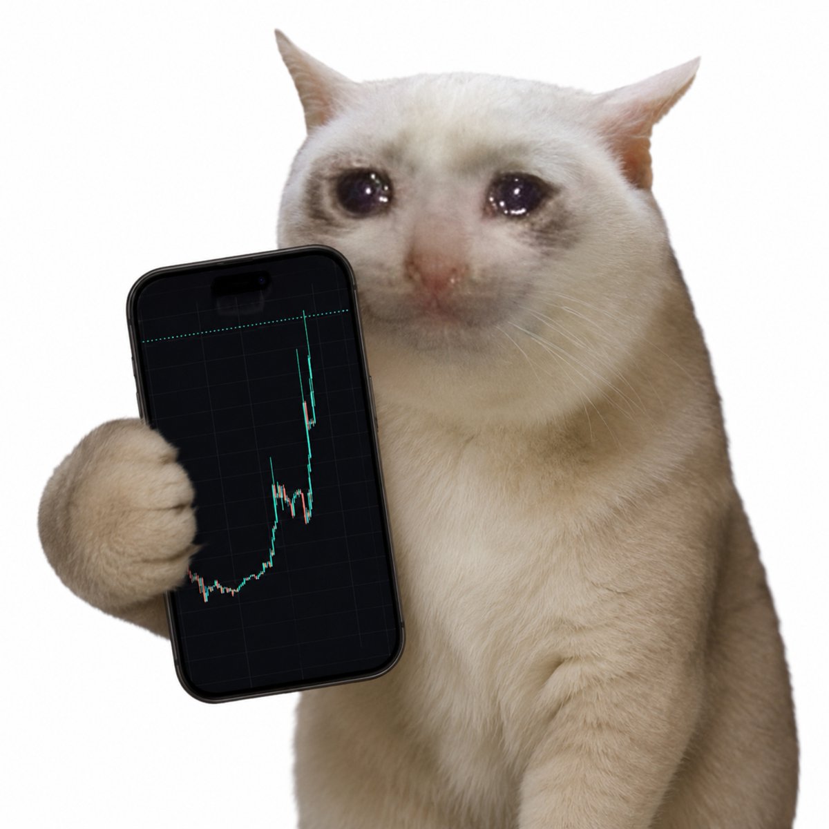 cashcat_token's tweet photo. New all-time high. 

But the most exciting part isn’t the price.

The real value is seeing thousands of people believe in the same story.

The story keeps getting stronger. https://t.co/Mj6scRhn3k