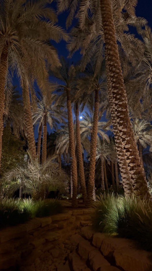 Seham14163's tweet photo. 🌅 محافظة الدرعية بمنطقة الرياض.. https://t.co/O9l1Carnst