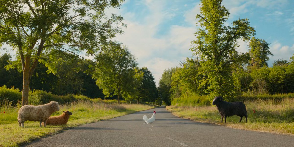 biggbadvampire's tweet photo. the sheep detectives is full of silly jokes... like how ham slept counting the sheeps... and why did the chicken cross the road joke... i was giggling this whole time https://t.co/ItTuiEqxeJ