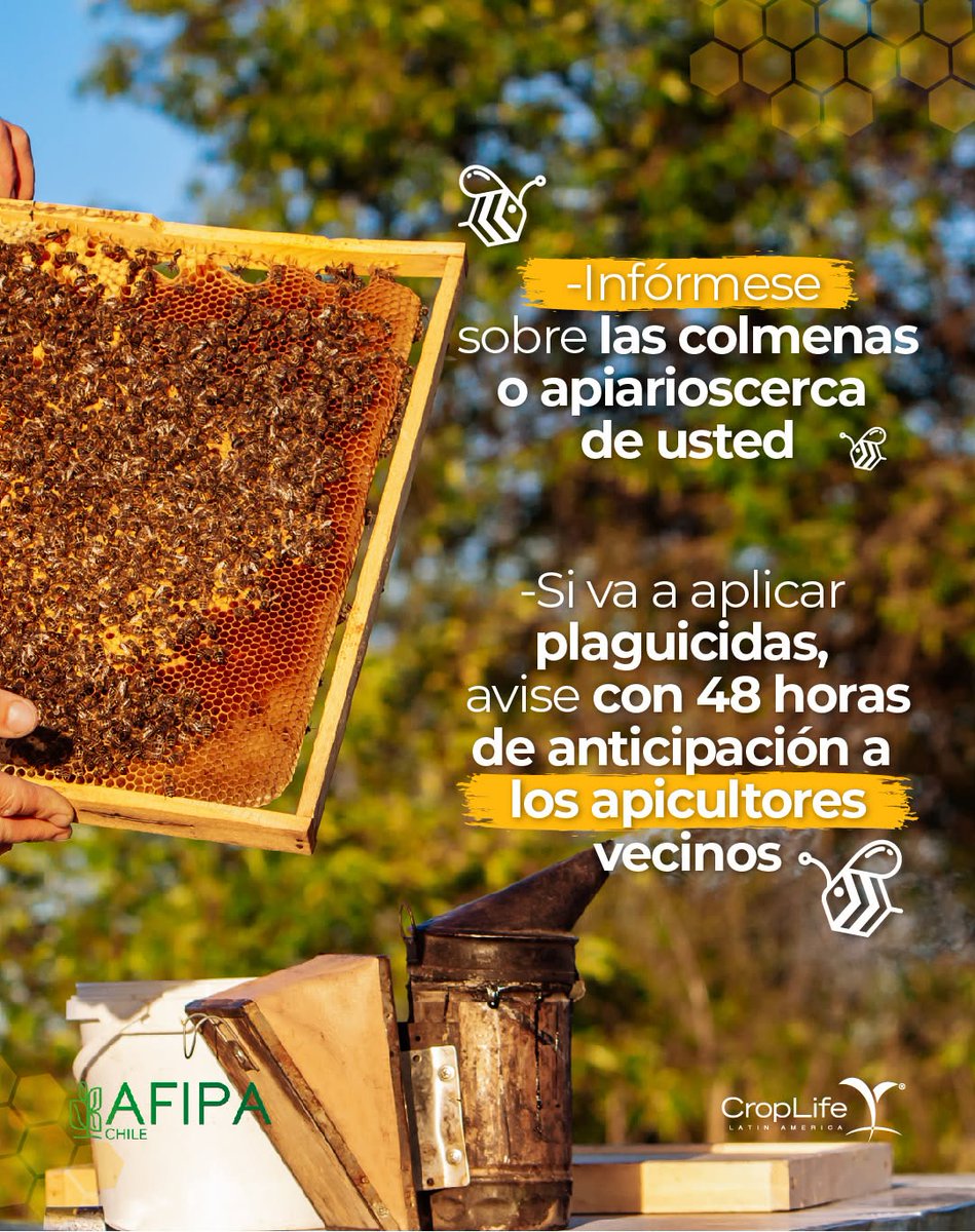 CropLife_La's tweet photo. ¡Agricultores! Ten en cuenta esta recomendación para cuidar a los polinizadores. Informarte es una acción responsable para protegerlos. Aprende más en: https://t.co/Mvz9Nixy6q https://t.co/YbyAdNyOW9