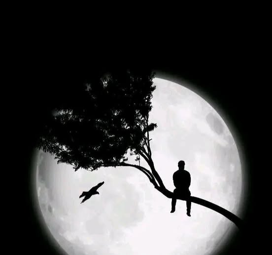 siraaz68's tweet photo. সত্যি বলতে
আমি আর আগের সেই মানুষটা নেই...
কোনো এক অজানা, অনিশ্চিত কারণে কখন যে নিজেকে নিজের মাঝেই হারিয়ে ফেলেছি,...
তা আমি নিজ��ও বুঝতে পারিনি....
এখন শুধু আফসোস হয়,,,
মাঝেমধ্যে একা  বসে নিজের জীবনের কথাই ভাবি
কী ছিলাম... আর কী হয়ে গেলাম,,,
জীবনের কোনো এক ভুল সিদ্ধান্ত, কিংবা এমন কোনো অপ্রত্যাশিত ঘটনা আমাকে ভেতর একে এতটাই ভেঙে দিয়েছে,
যা কখনো হওয়ার কথা ছিল না,,,
অথচ আজ সেটাই আমার বাস্তবতা,....