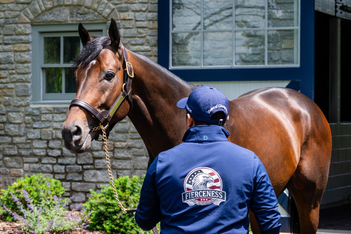 coolmoreamerica's tweet photo. Red, White &amp; Fierce. 🇺🇸

Happy Fourth of July from all of us at Coolmore America.

#CoolmoreSires #HomeOfChampions #Fierceness https://t.co/RqNnDSbC10