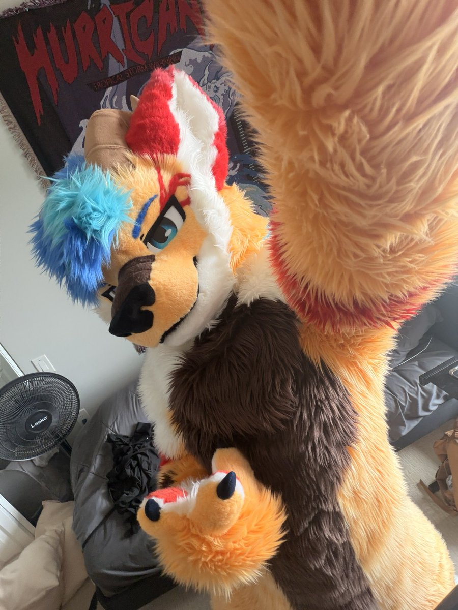 KodaKeijin's tweet photo. READY FOR AC! 

see you guys soon 👀 https://t.co/TEPTWDhFtX