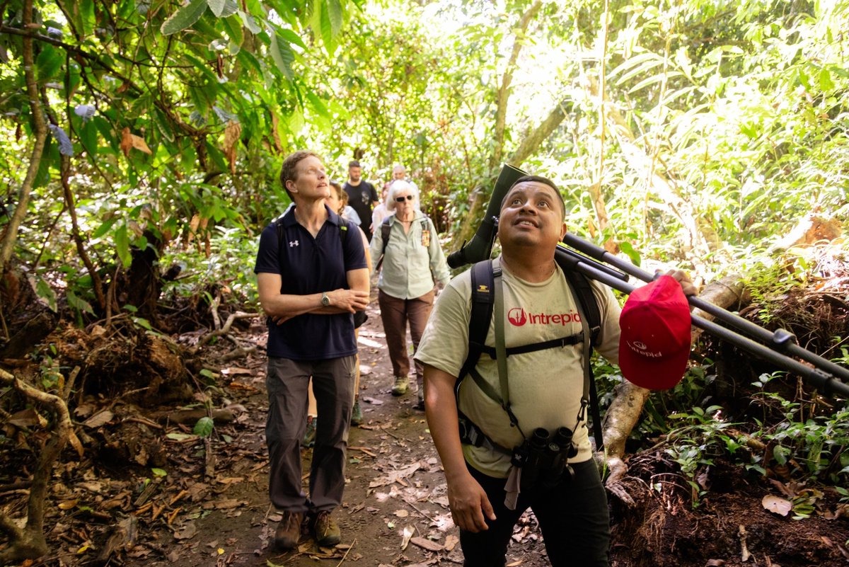 TravelweekGroup's tweet photo. Intrepid posts biggest June ever; new Premium Trips now available to book ⭐️

📌Discover more ➡️ https://t.co/gwg3fcInZn https://t.co/U7slNReJ4t
