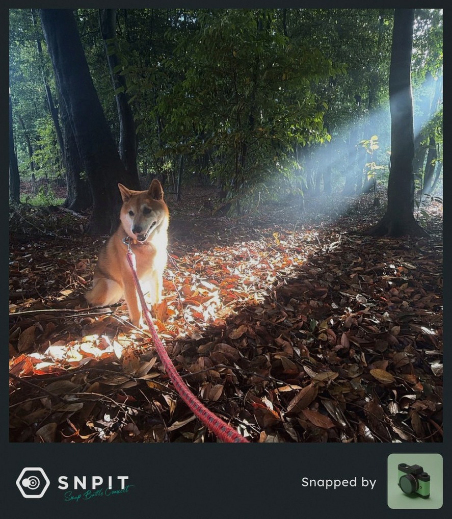 Unhinderedwolf's tweet photo. もう梅雨明けですか？？ https://t.co/6astMGXPWS