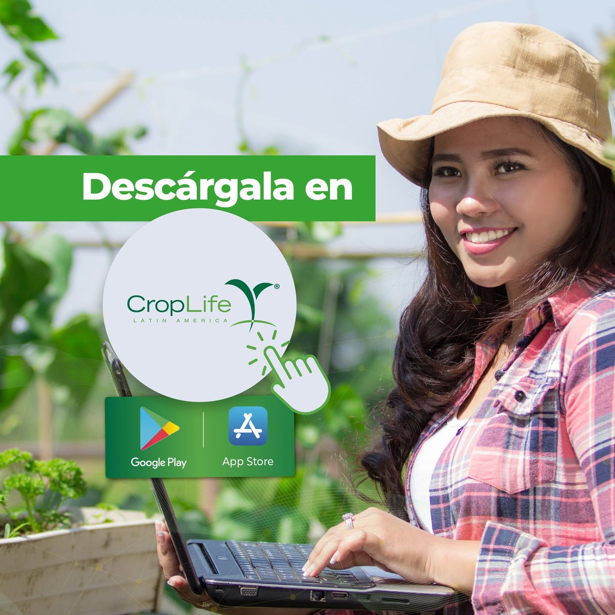 CropLife_La's tweet photo. Explora nuestra APP Educativa CropLife Latin America, una forma de adquirir conocimientos necesarios para mejorar las prácticas agrícolas en tus cultivos y certificarte en temas agrícolas. Descárgala en App Store: https://t.co/ehq3hAQXEW y en Google Play: https://t.co/8yWgfTYeFm https://t.co/3CJBcTn45p